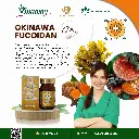FUCOIDAN PLUS 3.webp