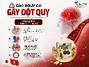 ChatGPT Image 21_01_49 15 thg 7, 2026.webp