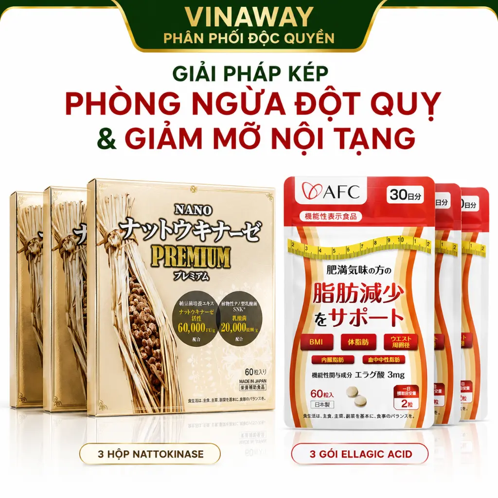 ChatGPT Image 20_50_00 15 thg 7, 2026.webp
