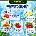 Vinaway Anserine Premium Ingredients Infographic.webp