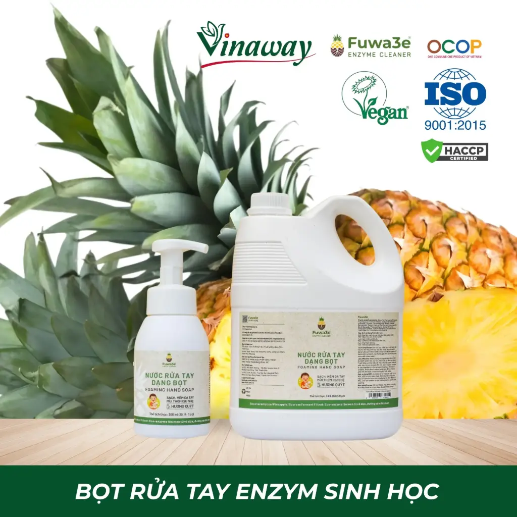 Nước rửa tay dạng bọt - 300ml (Hương Quýt)