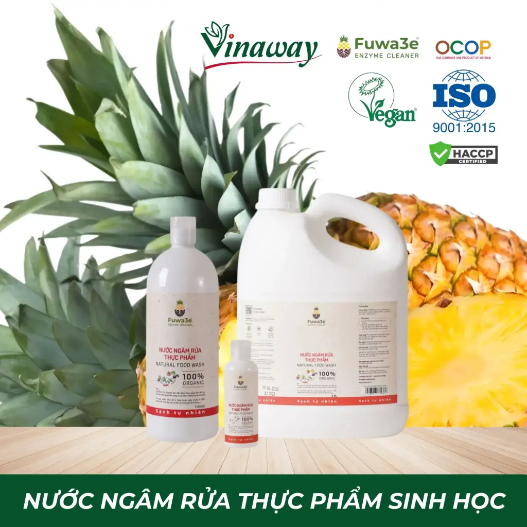 Nước Ngâm Rửa Thực Phẩm (3,8L)
