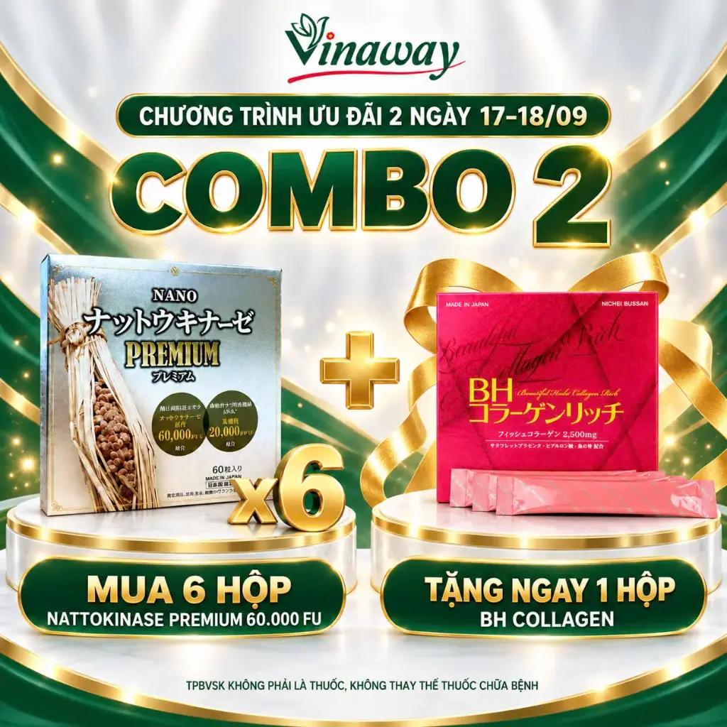 Combo 2: 6 Hộp Nano Nattokinase Premium 60 viên