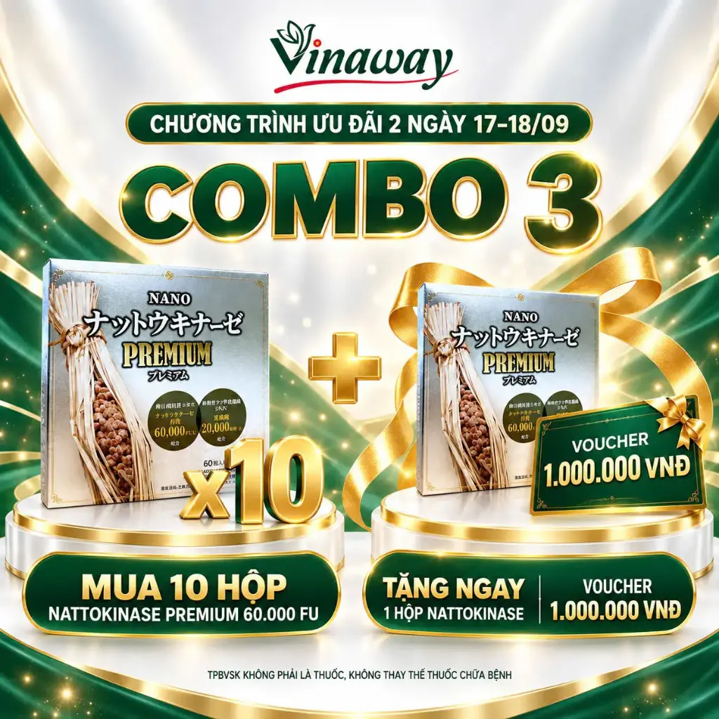Combo 3: 10 Hộp Nano Nattokinase Premium 60 viên